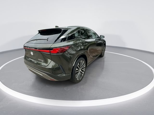 2025 Lexus RX Hybrid 350h - Photo 7