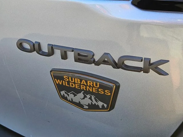 Used 2025 Silver Subaru Wilderness image 17