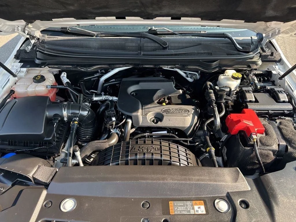Used 2019 White Ford Lariat image 10