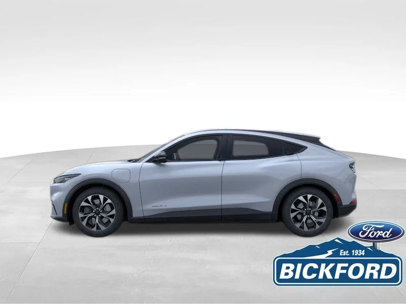 New 2026 Gray Ford Select image 3