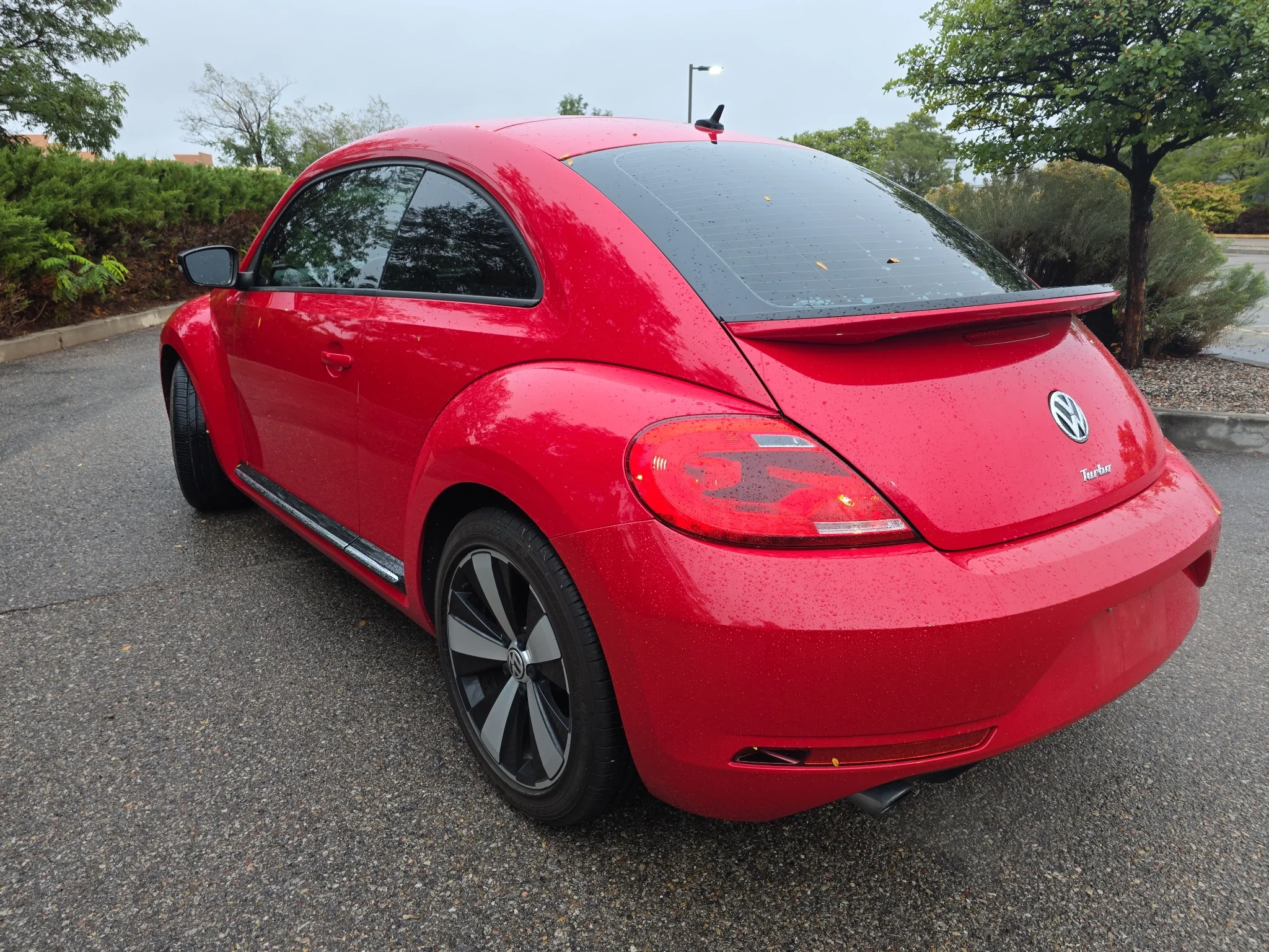 Used 2013 Tornado Red Volkswagen 2.0T Turbo image 13