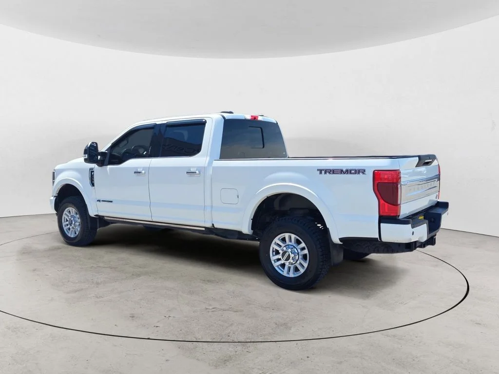 Used 2020 White Ford Platinum image 3