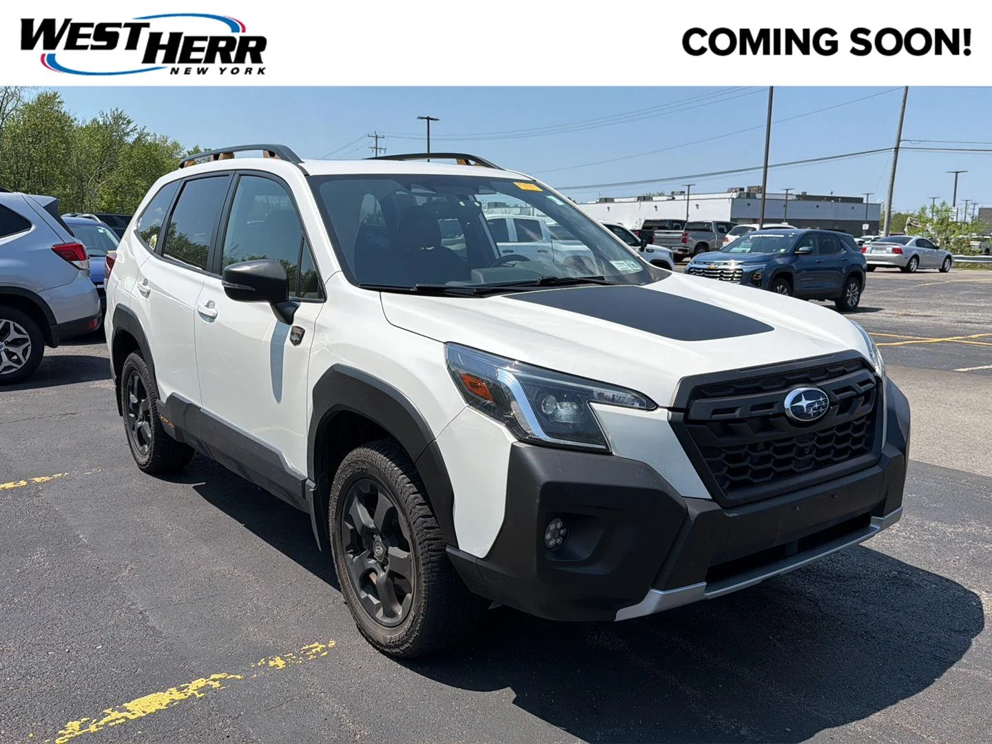 2024 Subaru Forester Wilderness's photo