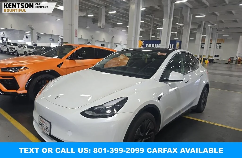 2024 Tesla Model Y Long Range Dual Motor All-Wheel Drive's photo