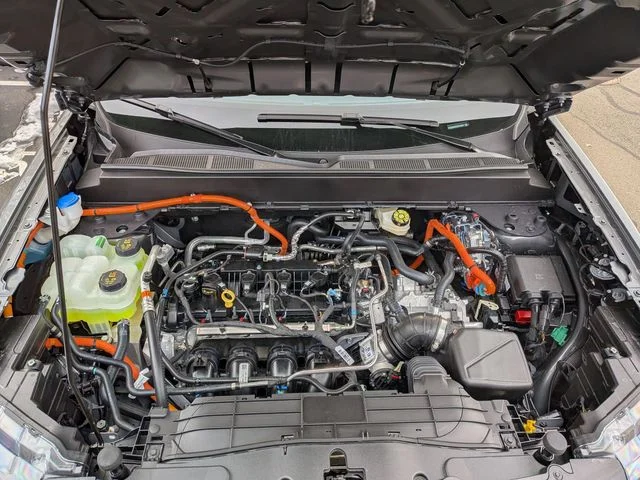 View 32