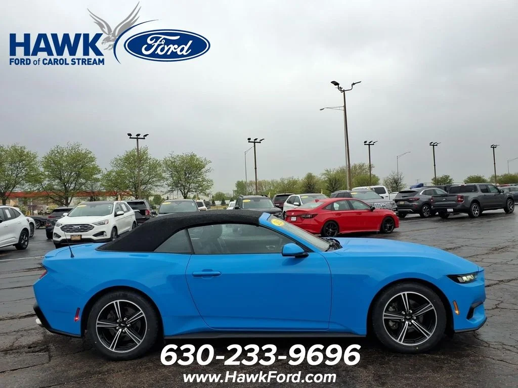 Used 2025 Blue Ford EcoBoost Premium image 8