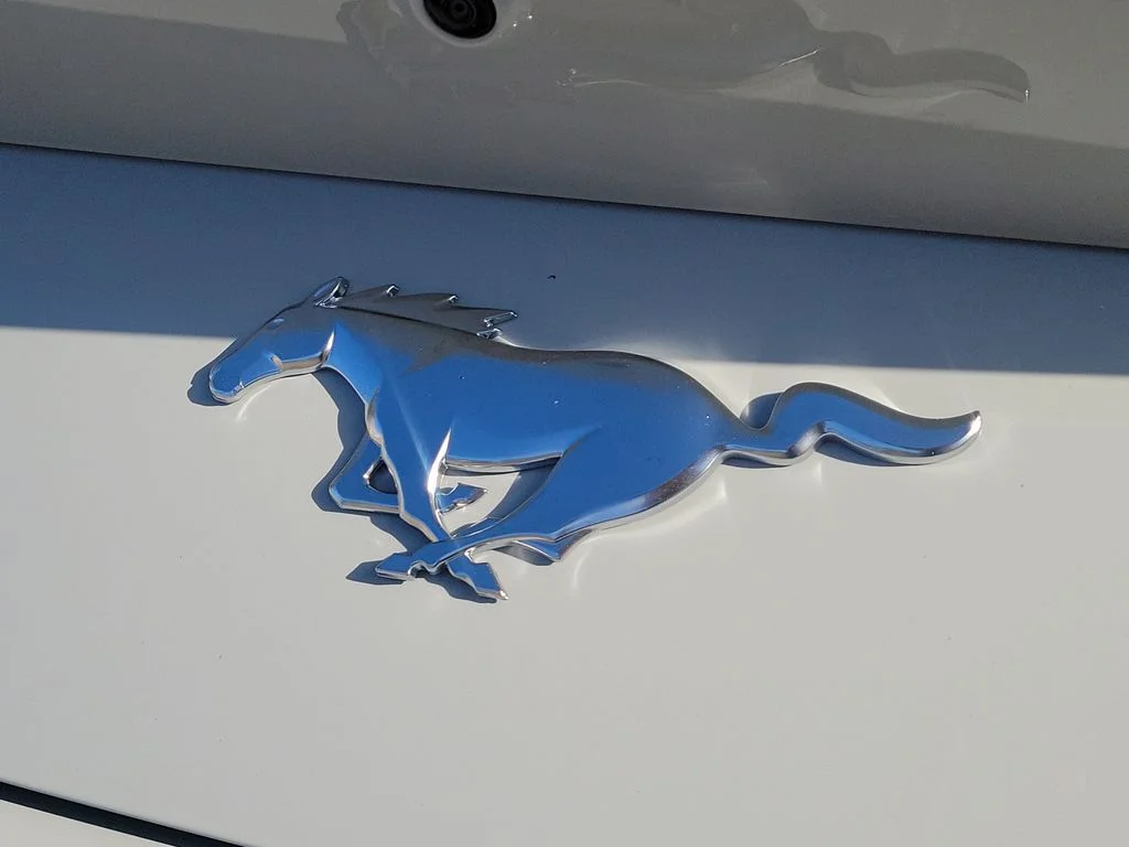 New 2026 Avalanche Gray Ford EcoBoost® Premium Fastback image 6
