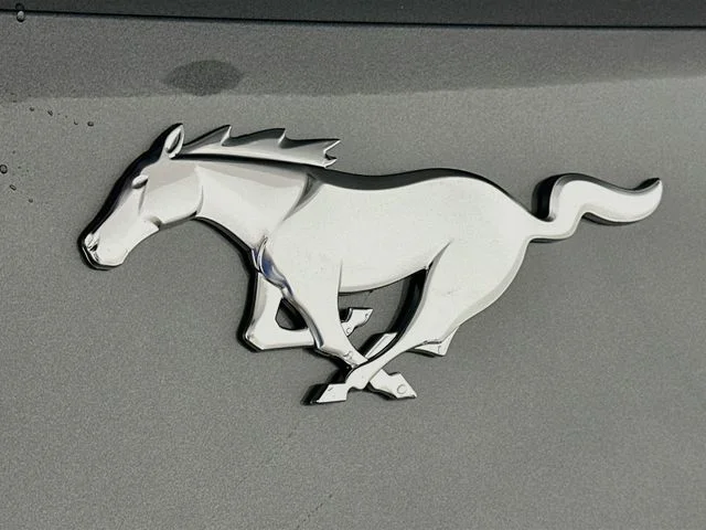 New 2026 Gray Ford EcoBoost image 21