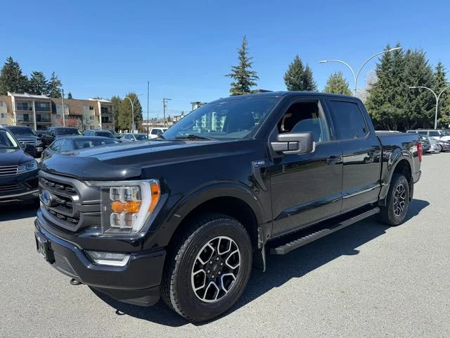 2023 Ford F-150 XLT 4x4 SuperCrew 145 in's photo
