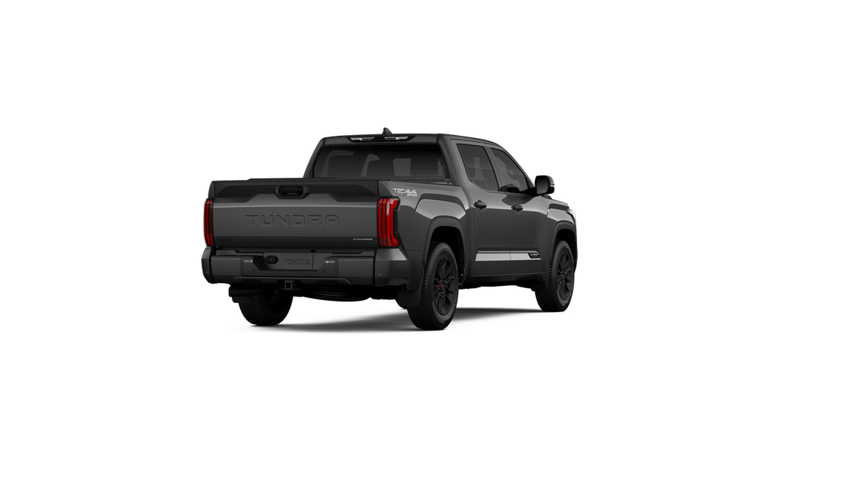 New 2026 Magnetic Gray Metallic Toyota Platinum image 24