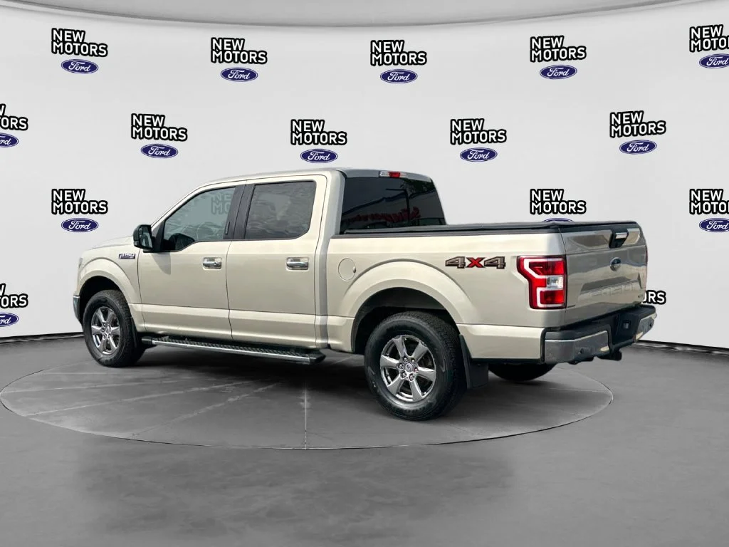Used 2018 White Gold Ford XLT image 3