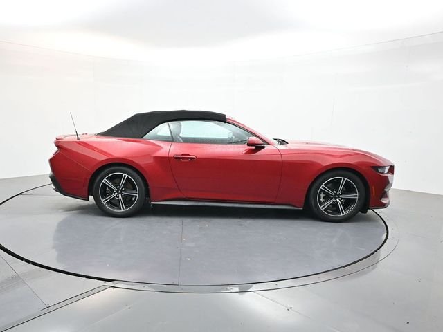 Used 2024 Red Ford EcoBoost Premium image 8