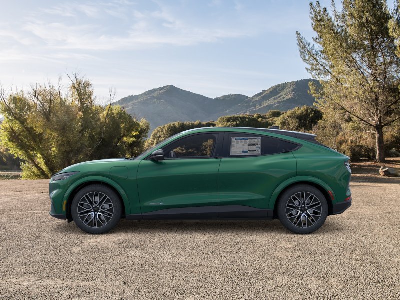 New 2026 Eruption Green Metallic Ford Premium image 25