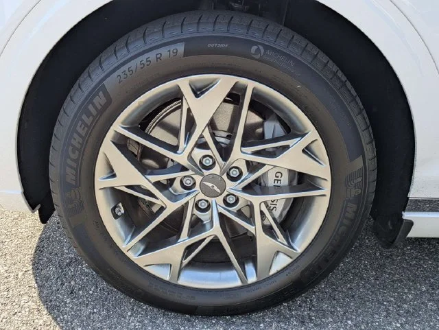 Used 2025 White Genesis 2.5T image 9