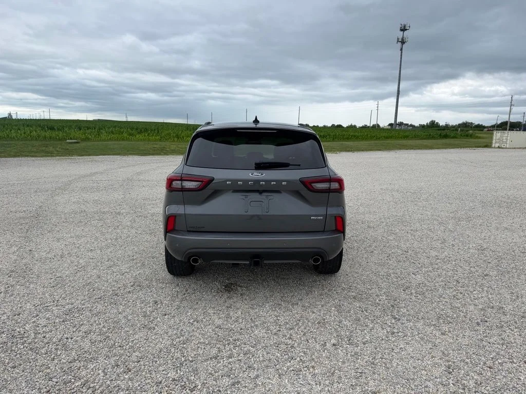 Used 2023 Gray Ford ST-Line Elite image 5