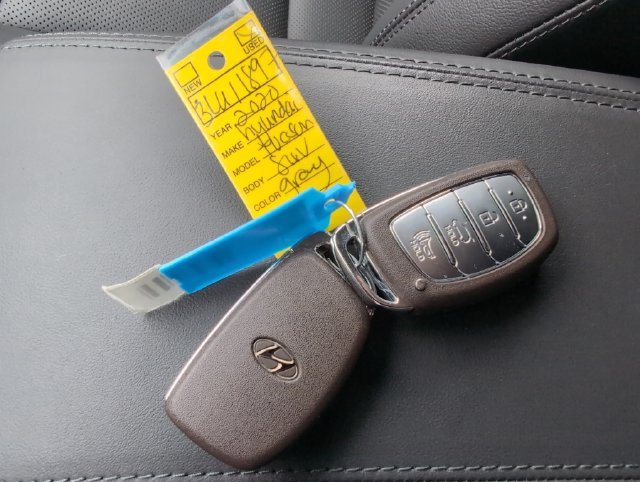 Used 2020 Magnetic Force Metallic Hyundai Limited image 32