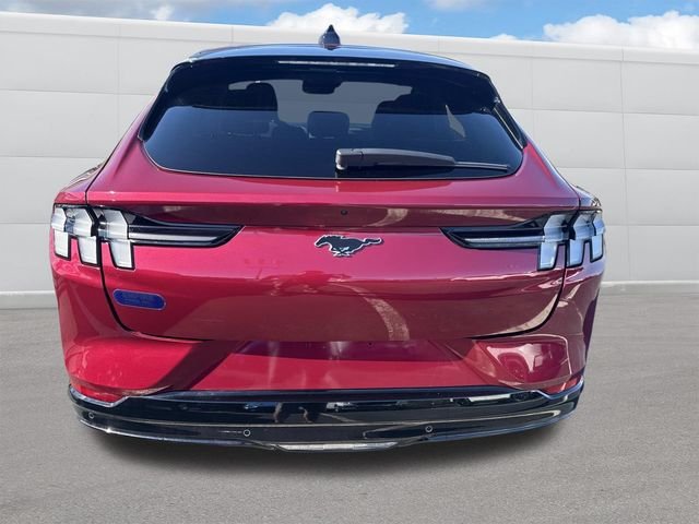 Used 2025 Molten Ford Premium image 4