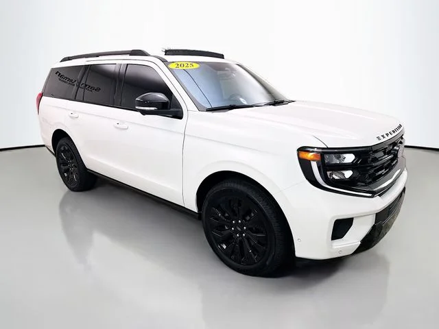 2025 Ford Expedition Platinum 4x4's photo