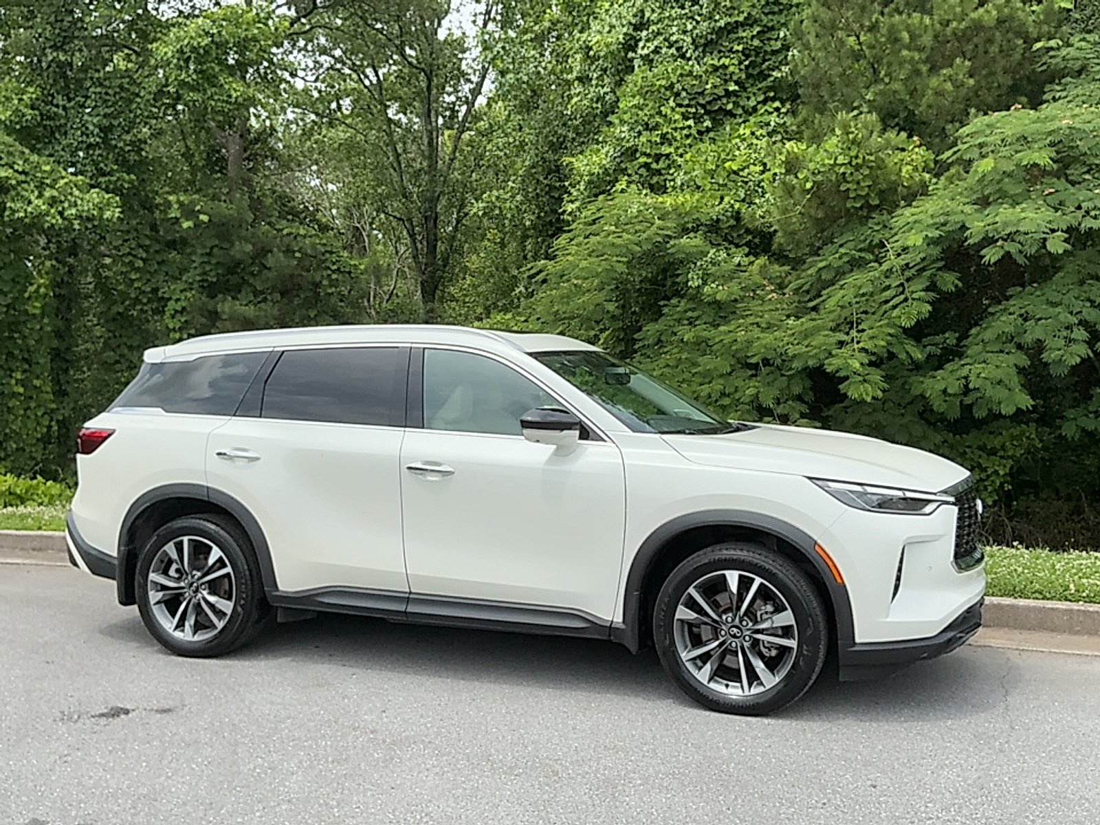 2023 INFINITI QX60 LUXE's photo