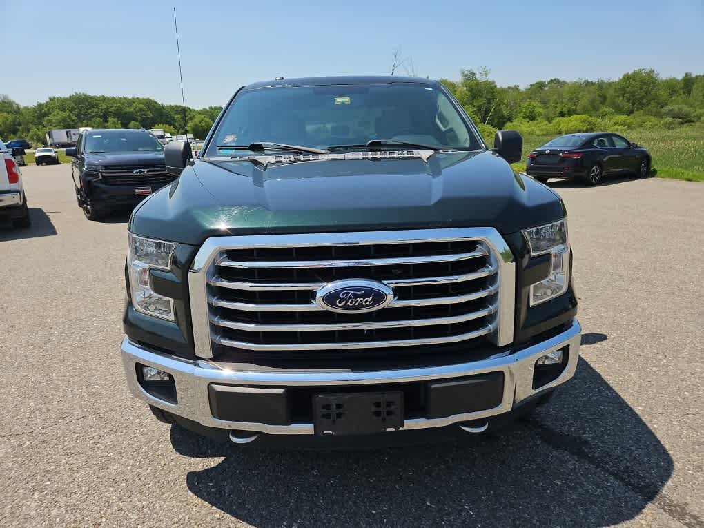 Used 2015 Green Gem Metallic Ford XLT image 4