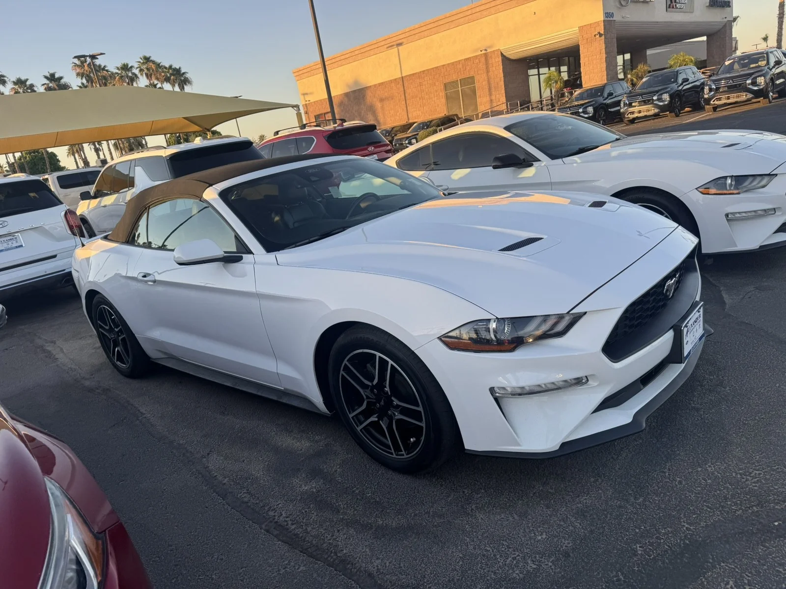 Used 2023  Ford EcoBoost image 3