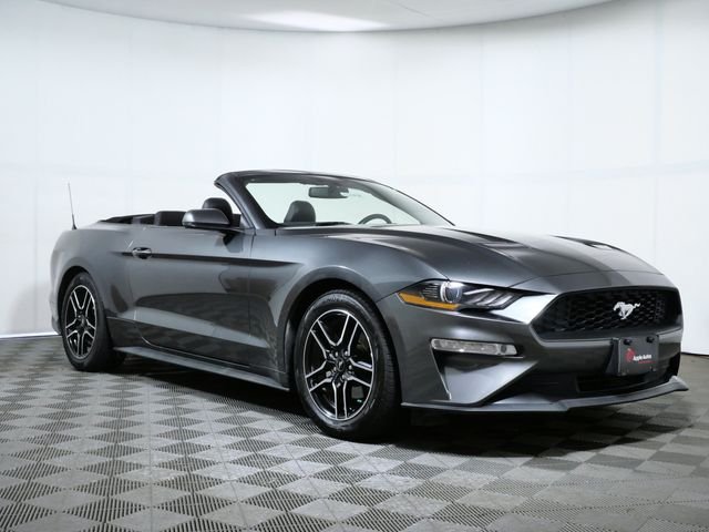 2019 Ford Mustang EcoBoost Convertible Premium's photo