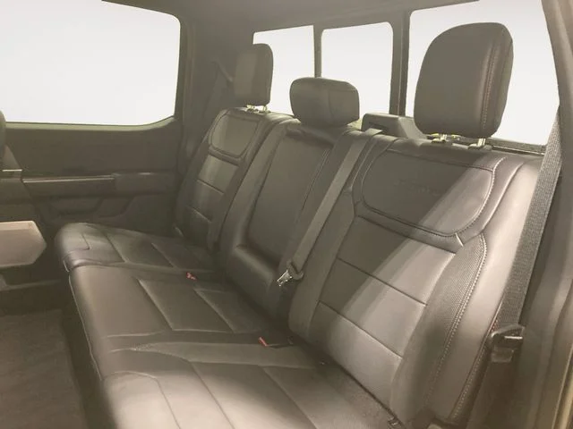 New 2026 Black Metallic Ford Raptor image 13