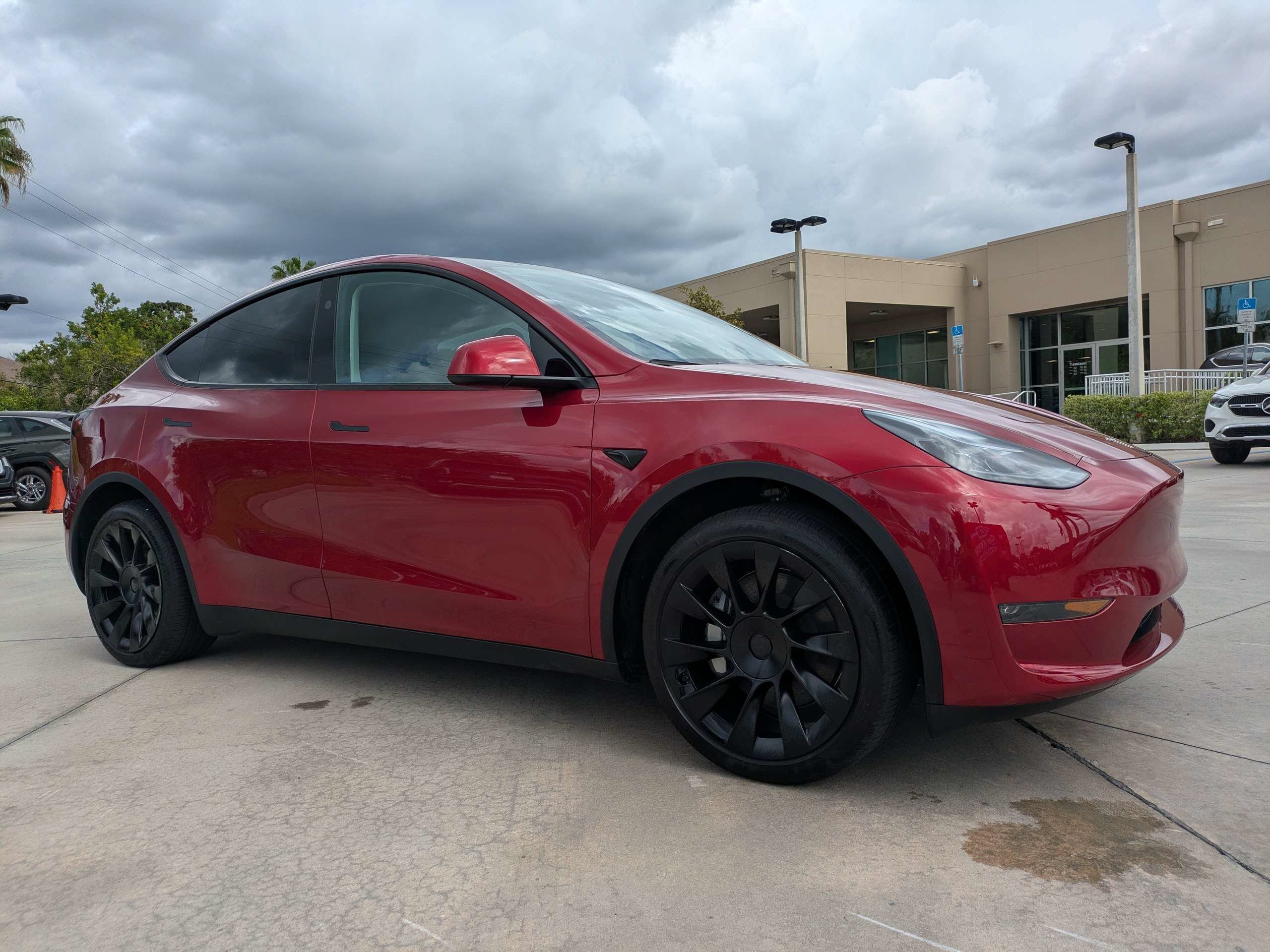 2024 Tesla Model Y
