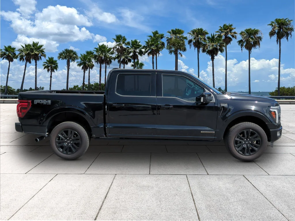 Used 2025 Agate Black Metallic Ford Platinum image 11