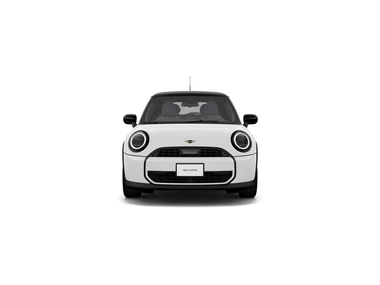 New 2026 Nanuq White Metallic MINI  image 2