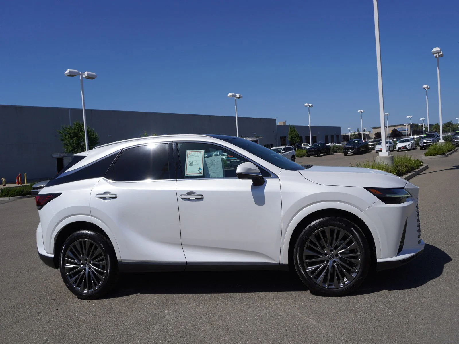 Used 2023 White Pearl Lexus RX 350 Luxury image 4