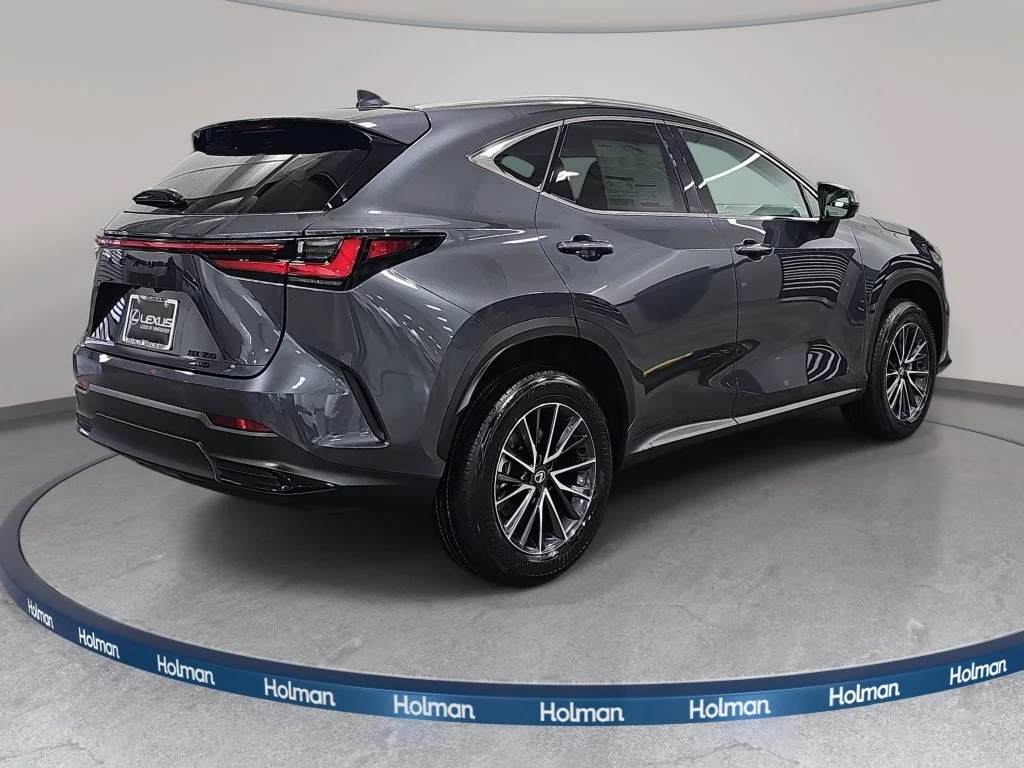 New 2026 Cloudburst Gray Lexus PREMIUM image 5