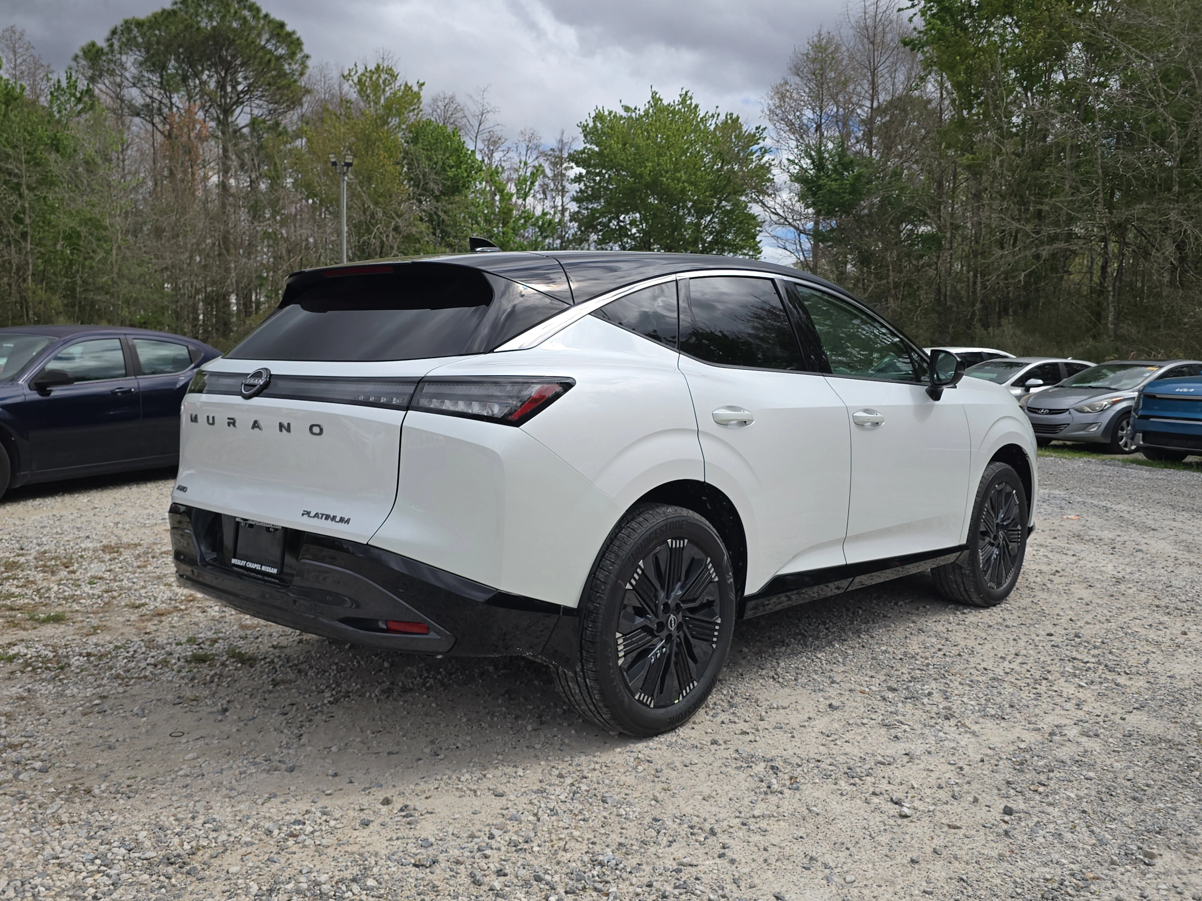 New 2026 Everest White Pearl TriCoat / Super Black Two-tone Nissan Platinum image 8