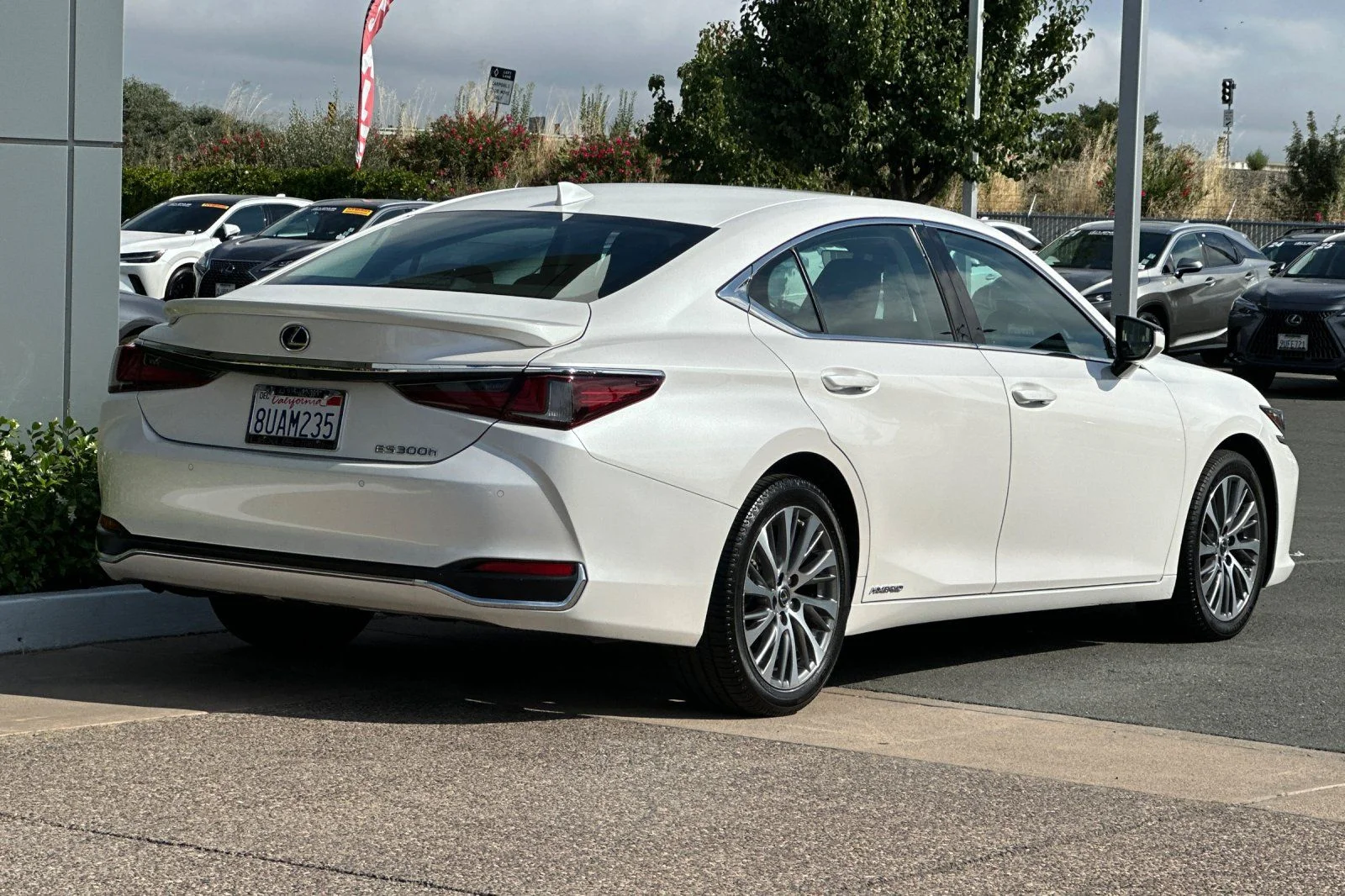 Used 2020 White Pearl Lexus 300h image 4
