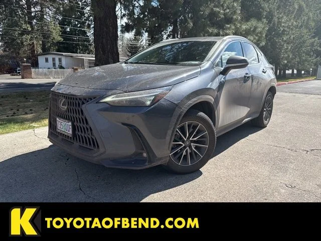 2024 Lexus NX 350h 350h Premium AWD's photo