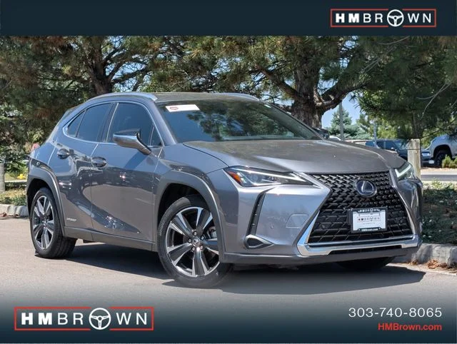 2020 Lexus UX 300h 250h AWD's photo