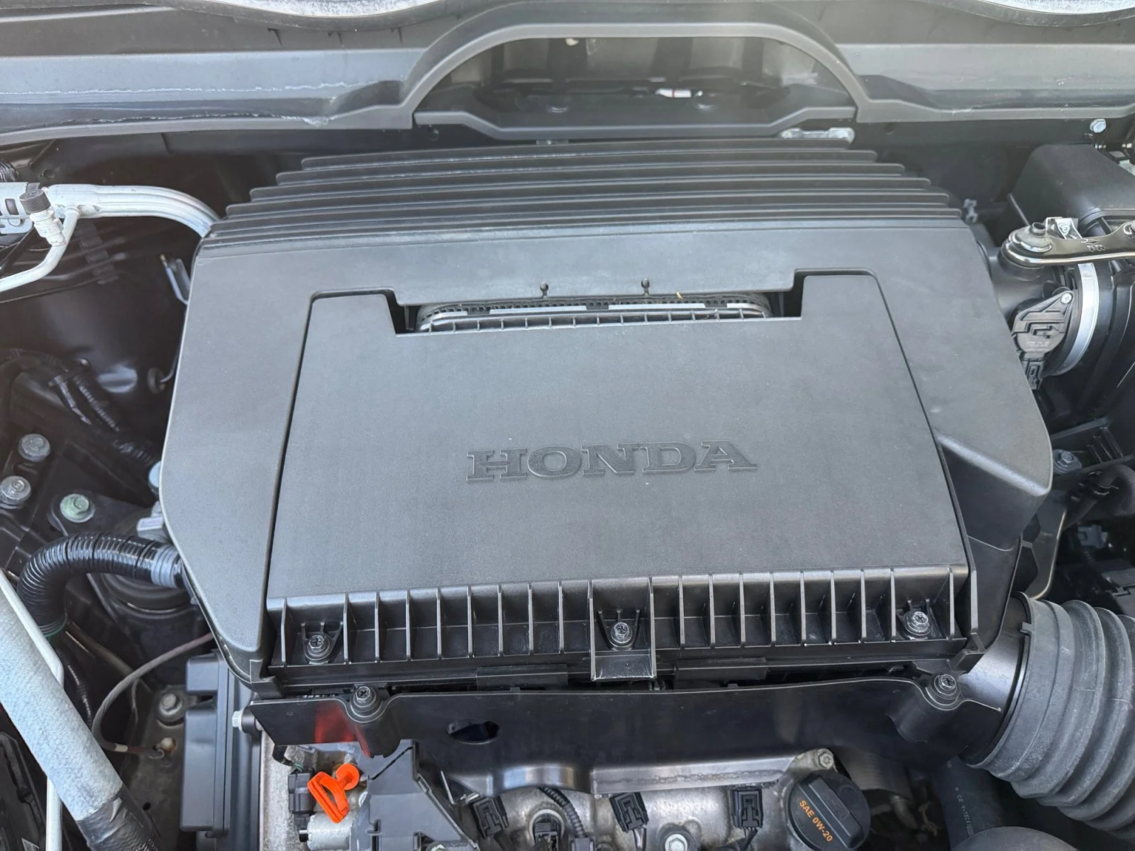 Used 2023 Black Honda Elite image 7