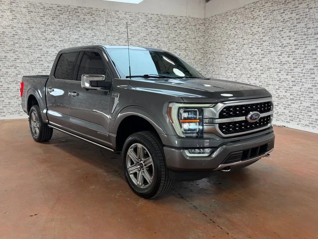 Used 2021 Gray Metallic Ford Platinum image 1
