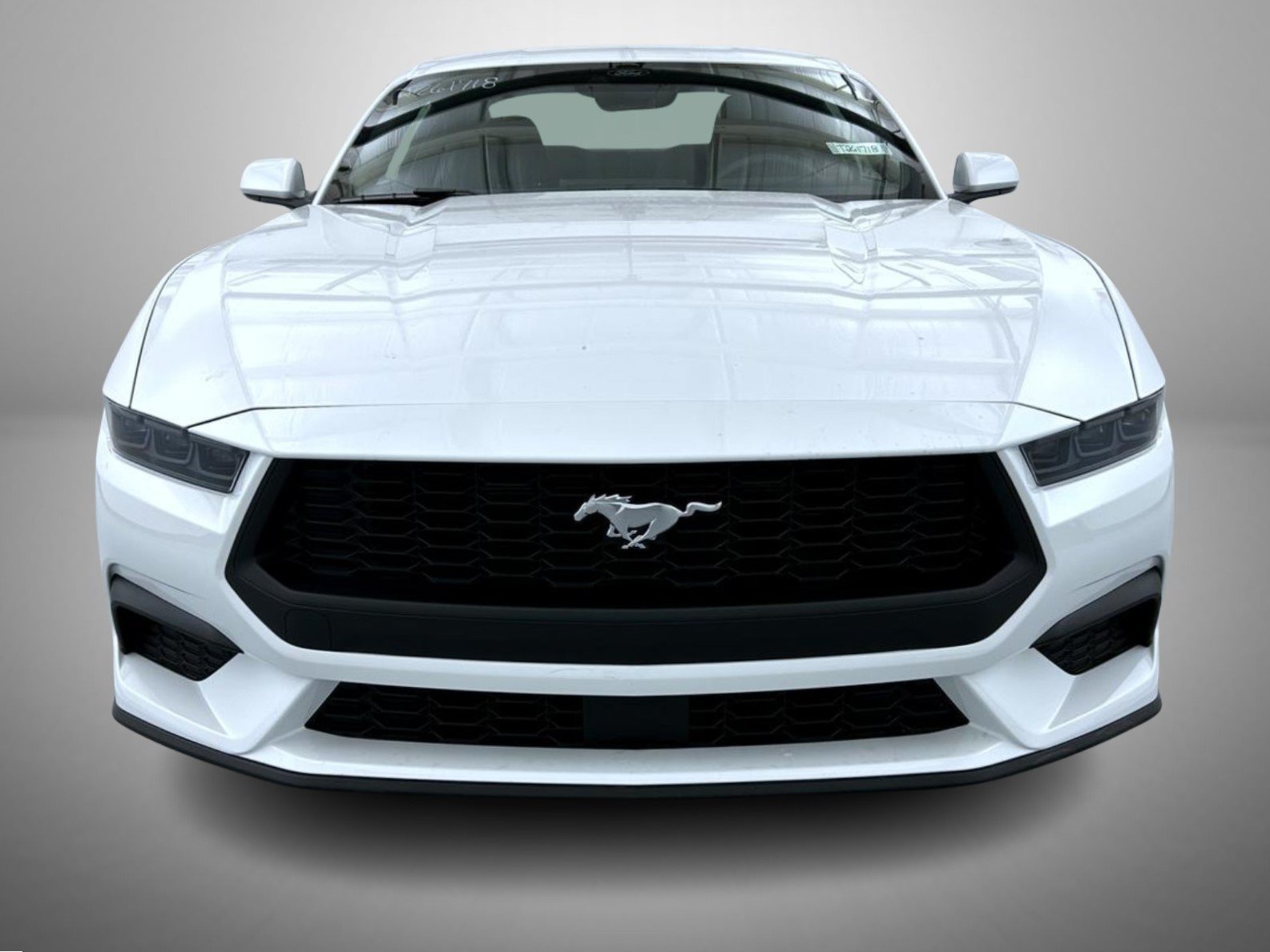 New 2026 Oxford White Ford EcoBoost image 2