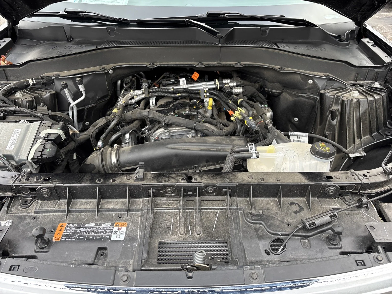 Used 2025 Black Ford Active image 21