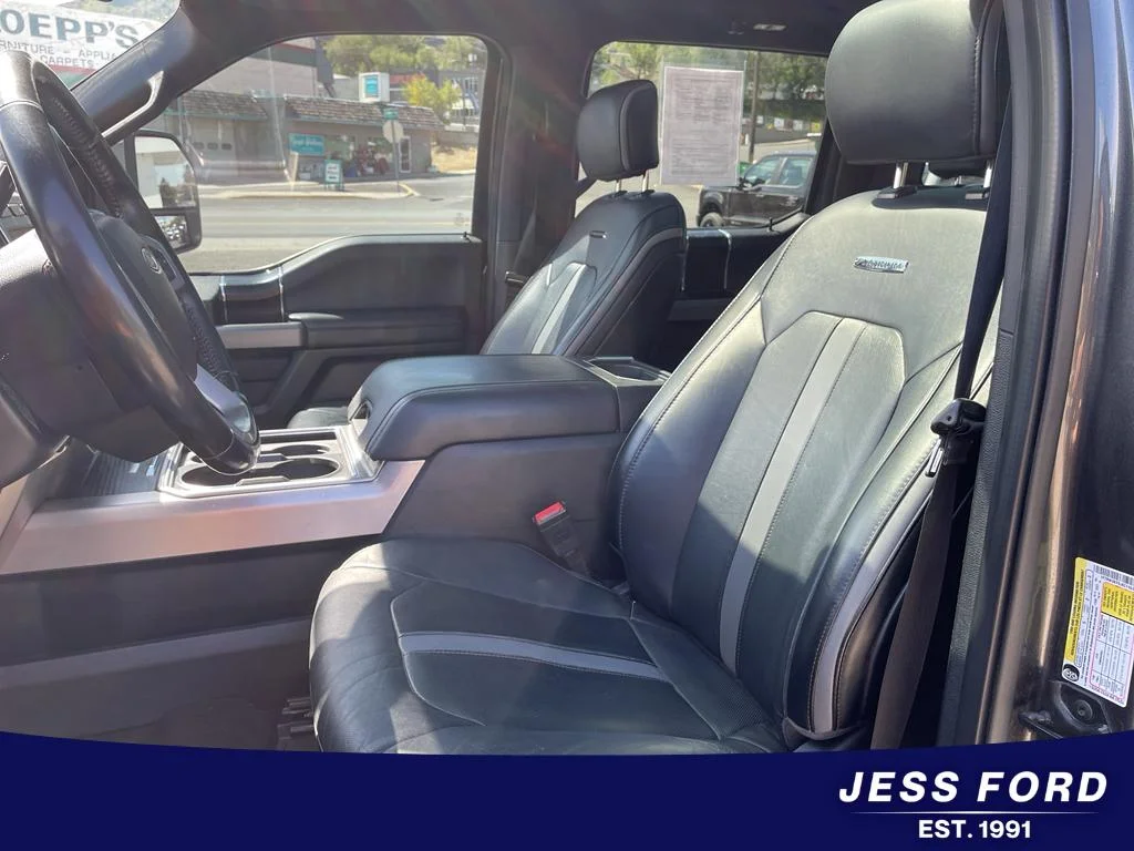Used 2018 Magnetic Ford Platinum image 12