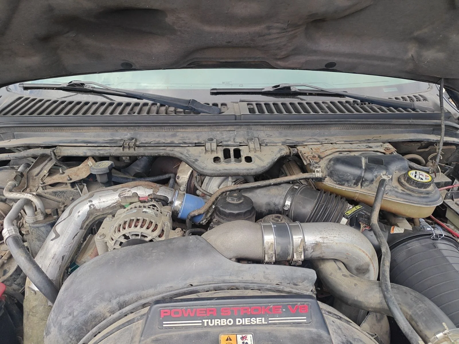 Used 2003 Blue Ford  image 9