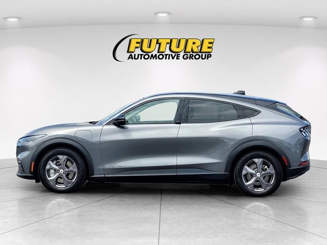Used 2023 Gray Ford Select image 7