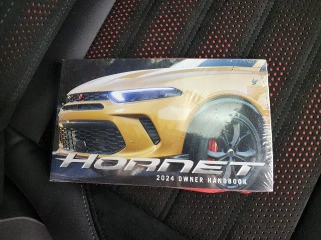 New 2024 Gold Dodge R/T Plus image 33