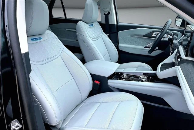New 2026 Black Ford Platinum image 11