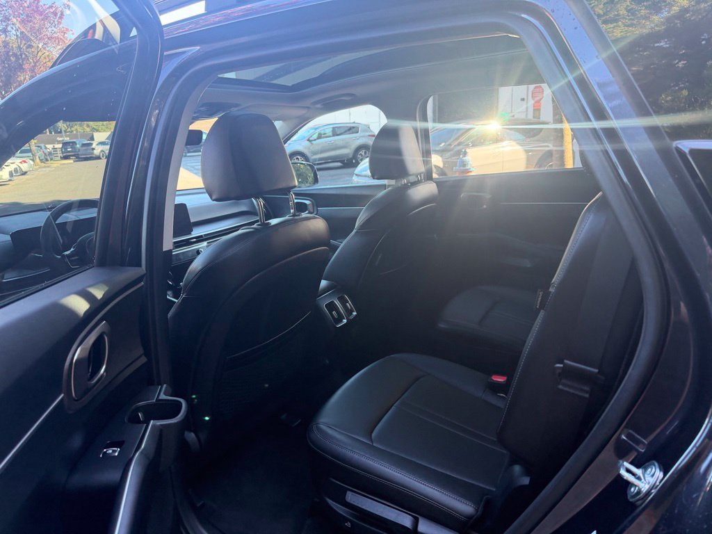 Used 2025 Panthera Metal Kia X-Line EX image 16
