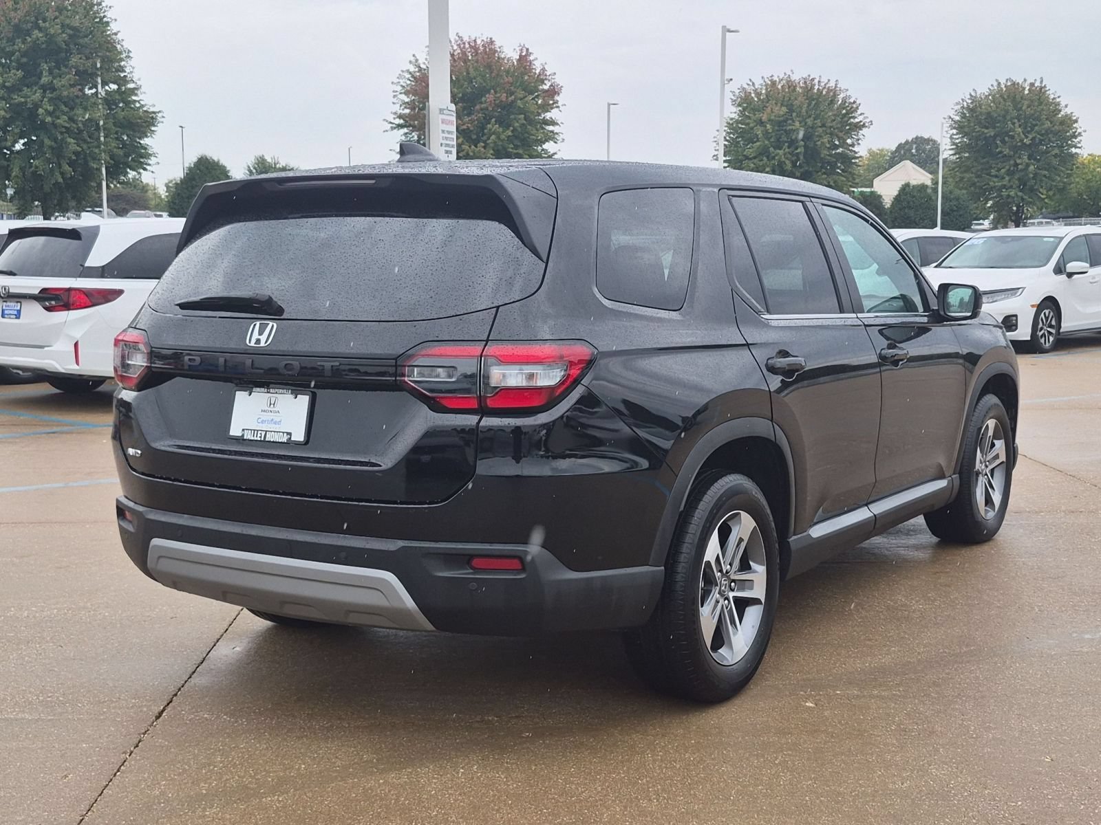 2025 Honda Pilot EX-L - Photo 6