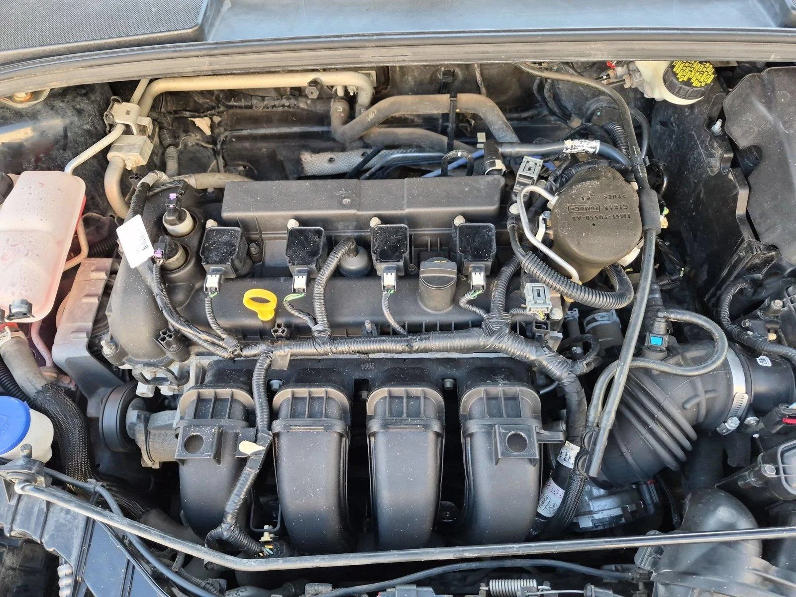 Used 2016 Shadow Black Ford SE image 36
