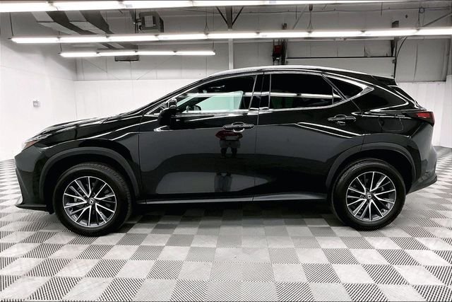 2024 Lexus NX 250 - Photo 14
