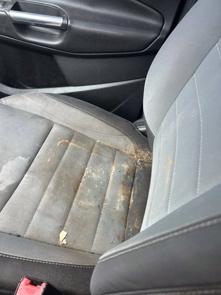Used 2013  Ford SE image 5